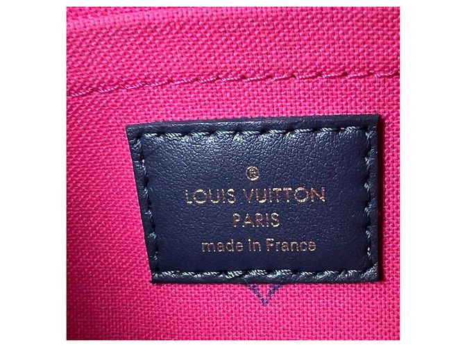 Borsa a tracolla Louis Vuitton Monogram Giant Spring In The City Papillon BB Rosa - vista 6