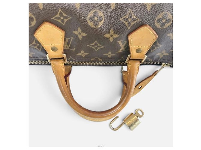 Louis Vuitton Borsa Tote Monogram Speedy Marrone - vista 5