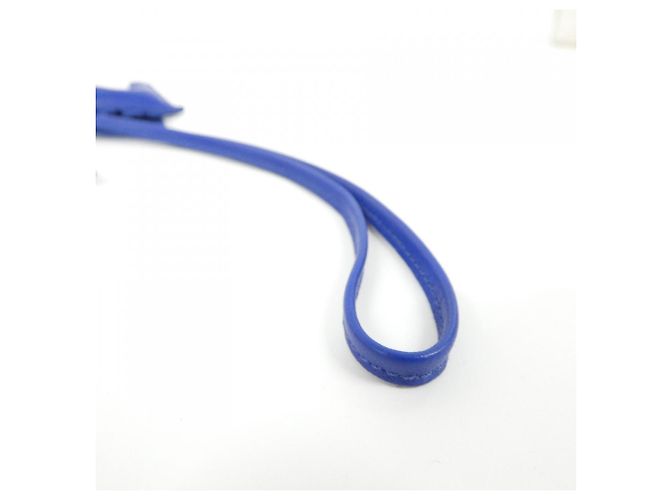 Hermès Hermes Rodeo Accessory Bag Charm PM Blu - vista 5