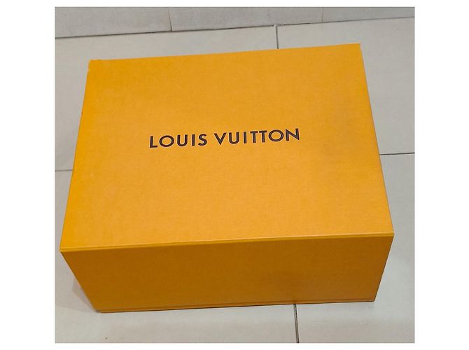 Louis Vuitton Joyero Trunk Monogram Square Castaño Monograma - vista 14
