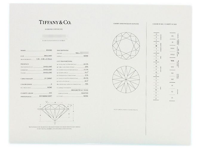 Collana Tiffany & Co. By the Yard in diamanti - vista 6