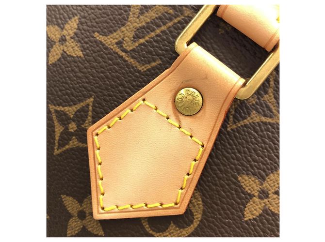 Borsa Louis Vuitton Monogram Alma PM Marrone Monogramma - vista 5