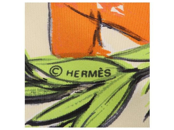 Hermès Hermes Carre 90 Seidentuch Chantilly Mehrfarben Roh - Ansicht 2