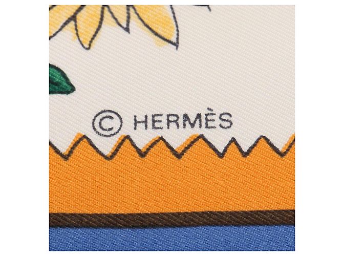 Hermès Foulard Hermes Carre 90 RETOUR A LA TERRE Blu Multicolore - vista 2