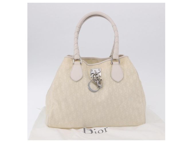 Borsa a mano Christian Dior Trotter Canvas Ivory Silver Auth 195788V Argento Crudo - vista 12