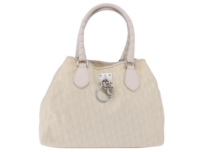 Borsa a mano Christian Dior Trotter Canvas Ivory Silver Auth 195788V Argento Crudo - vista 13