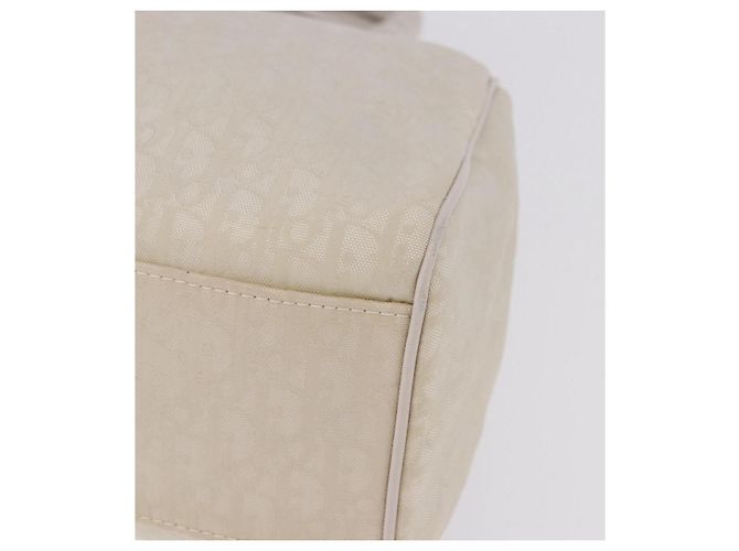 Borsa a mano Christian Dior Trotter Canvas Ivory Silver Auth 195788V Argento Crudo - vista 15