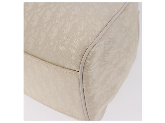 Borsa a mano Christian Dior Trotter Canvas Ivory Silver Auth 195788V Argento Crudo - vista 17