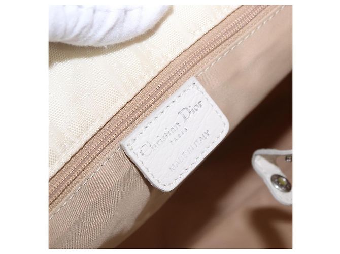 Borsa a mano Christian Dior Trotter Canvas Ivory Silver Auth 195788V Argento Crudo - vista 18