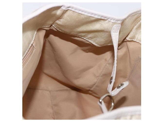 Borsa a mano Christian Dior Trotter Canvas Ivory Silver Auth 195788V Argento Crudo - vista 19