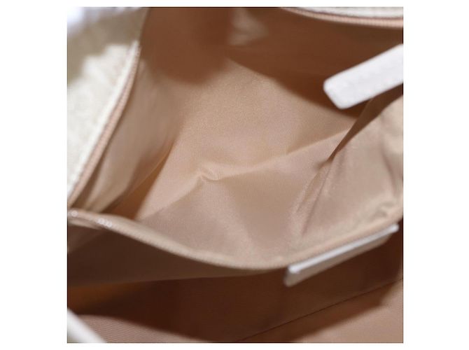 Borsa a mano Christian Dior Trotter Canvas Ivory Silver Auth 195788V Argento Crudo - vista 22