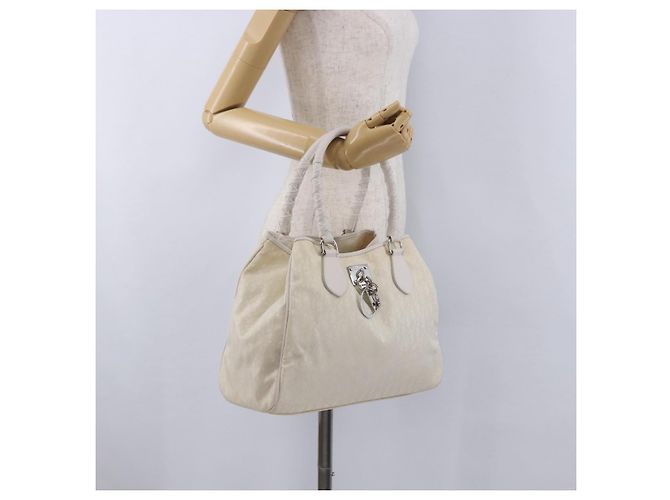 Borsa a mano Christian Dior Trotter Canvas Ivory Silver Auth 195788V Argento Crudo - vista 23