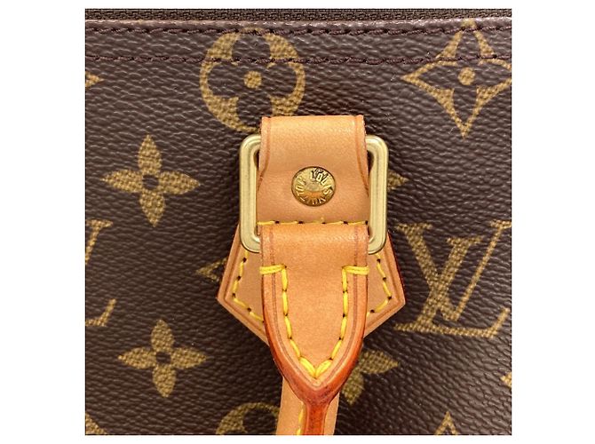Borsa Louis Vuitton M41528 Speedy 25 Monogramma - vista 13