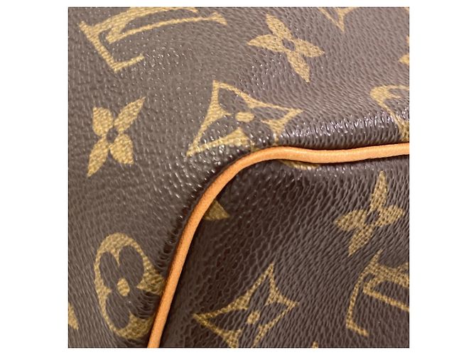 Borsa Louis Vuitton M41528 Speedy 25 Monogramma - vista 15