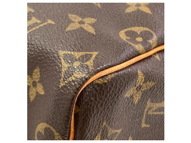 Borsa Louis Vuitton Monogram Speedy 25 Monogramma - vista 17