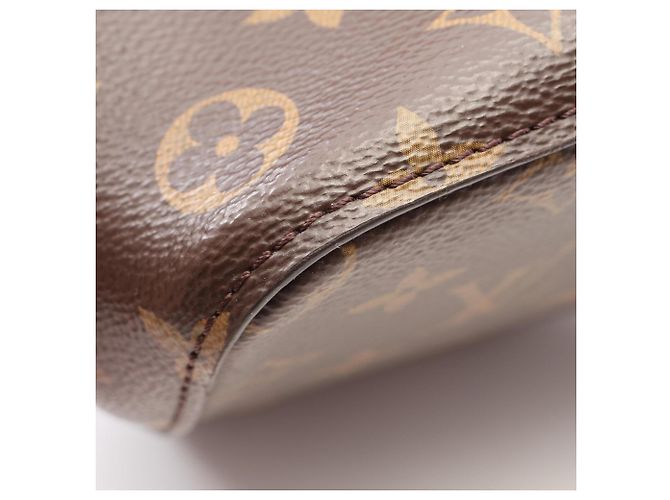 Néonoé Borsa a tracolla Louis Vuitton NeoNoe Marrone Rosso Monogramma - vista 6