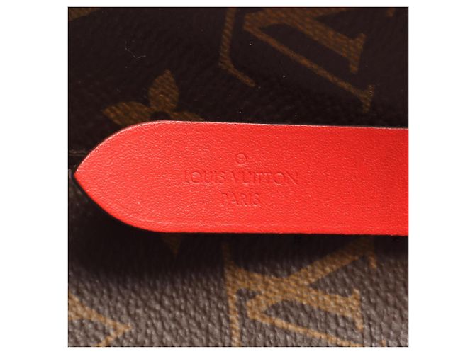 Néonoé Borsa a tracolla Louis Vuitton NeoNoe Monogram Coquelicot Marrone Rosso Monogramma - vista 4