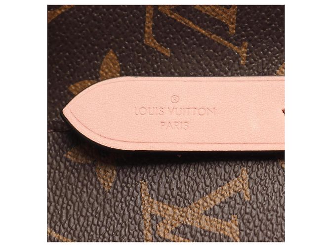 Néonoé Borsa a tracolla Louis Vuitton NeoNoe Monogram Rose Poudre Marrone Rosa Monogramma - vista 4