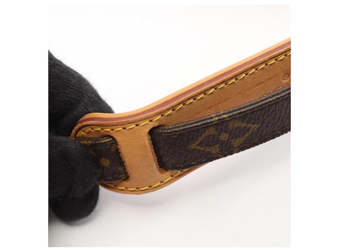 Borsa a tracolla Louis Vuitton Amazon Monogram Marrone - vista 8