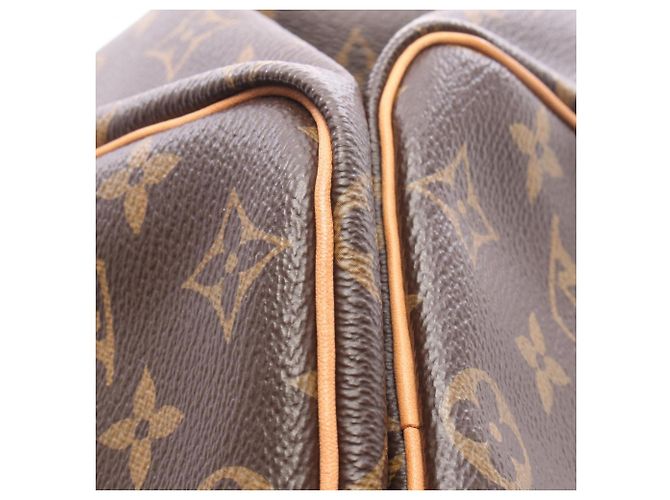 Bolso Louis Vuitton Speedy 25 Monogram Castaño - vista 5