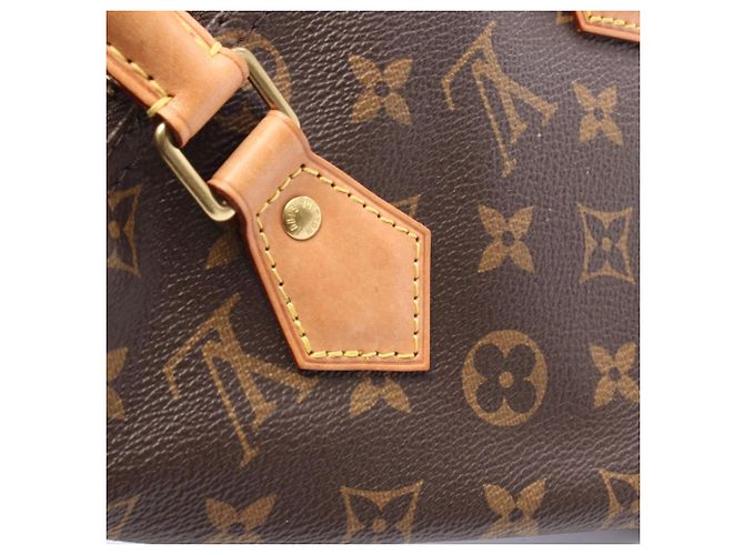 Bolso Louis Vuitton Speedy 25 Monogram Castaño - vista 7