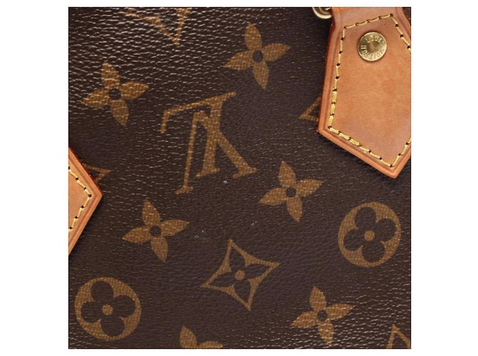 Bolso Louis Vuitton Speedy 25 Monogram Castaño - vista 8