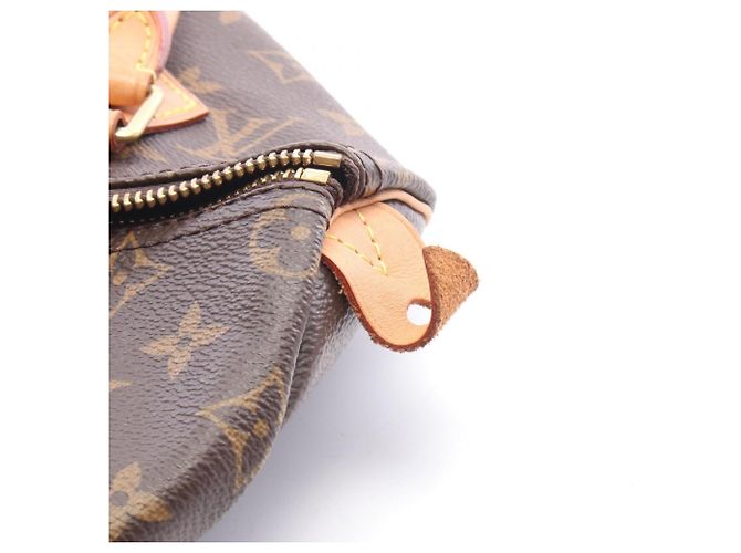 Bolso Louis Vuitton Speedy 25 Monogram Castaño - vista 9