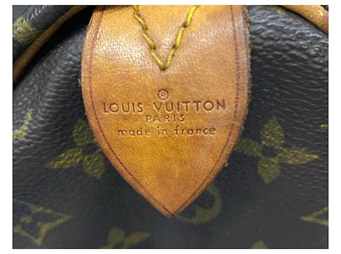 Louis Vuitton Speedy 35 Beige D'oro - vista 7
