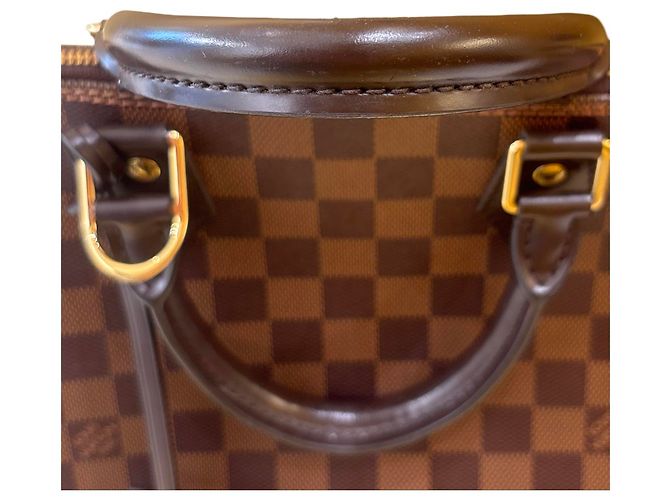 Louis Vuitton Alma BNB Monogram Canvas with Leather Marrone - vista 3