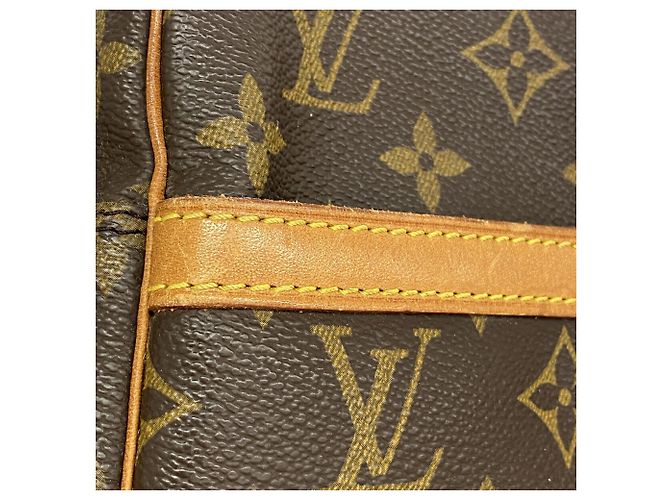 Borsa a tracolla Louis Vuitton Monogram Danube Marrone - vista 9