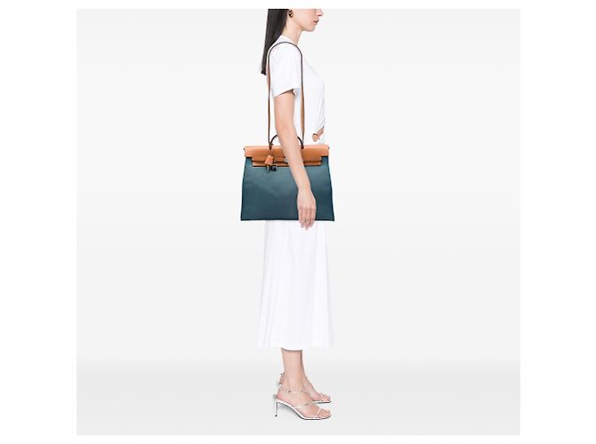 Borsa Hermès Toile Herbag Zip 39 Blu - vista 5