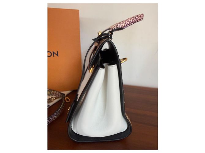 Borsa Louis Vuitton LV Arch PM Rainbow Python Nero Bianco Multicolore Stampa python Gold hardware - vista 10