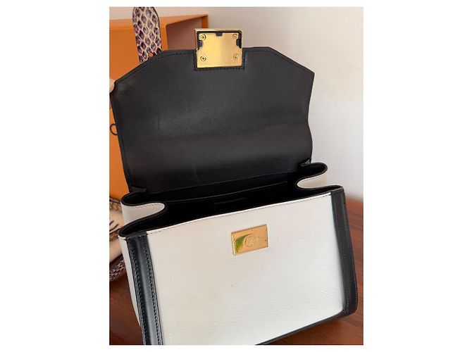 Borsa Louis Vuitton LV Arch PM Rainbow Python Nero Bianco Multicolore Stampa python Gold hardware - vista 15