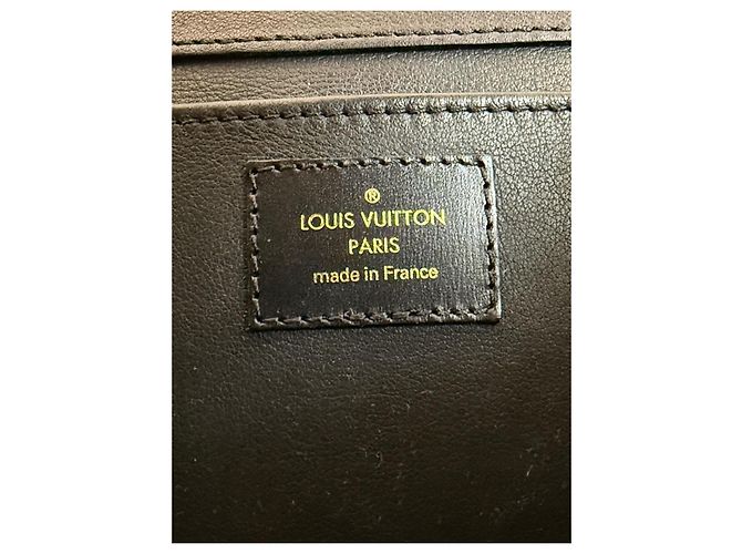 Borsa Louis Vuitton LV Arch PM Rainbow Python Nero Bianco Multicolore Stampa python Gold hardware - vista 17