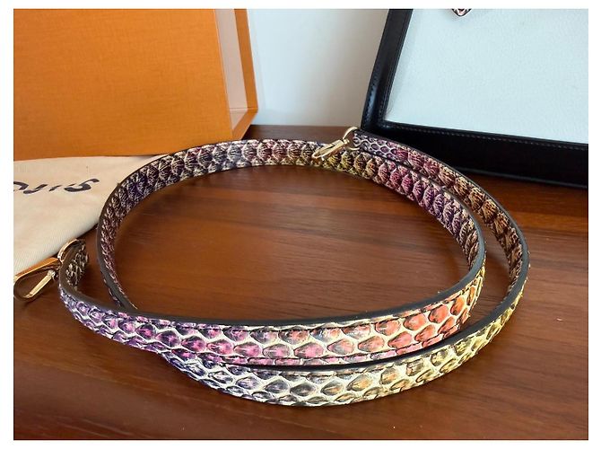 Borsa Louis Vuitton LV Arch PM Rainbow Python Nero Bianco Multicolore Stampa python Gold hardware - vista 19
