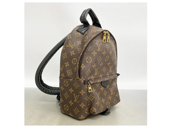 Zaino Louis Vuitton Monogram Palm Springs PM Marrone - vista 2