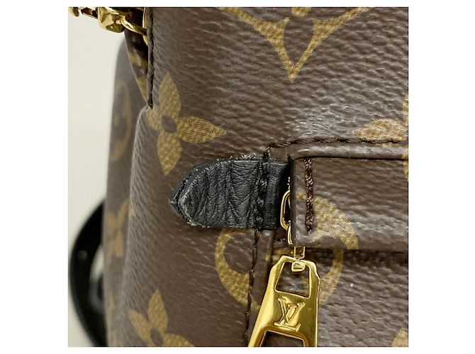 Zaino Louis Vuitton Monogram Palm Springs PM Marrone - vista 6