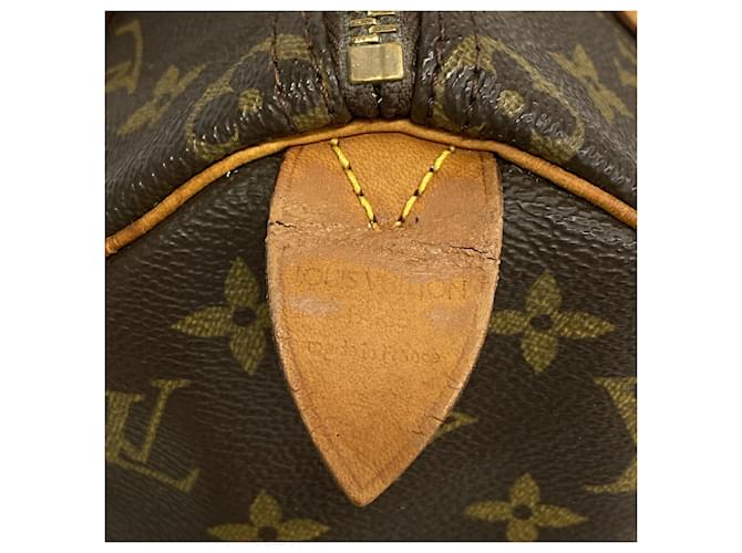 Borsa Louis Vuitton Monogram Speedy 25 Marrone - vista 5