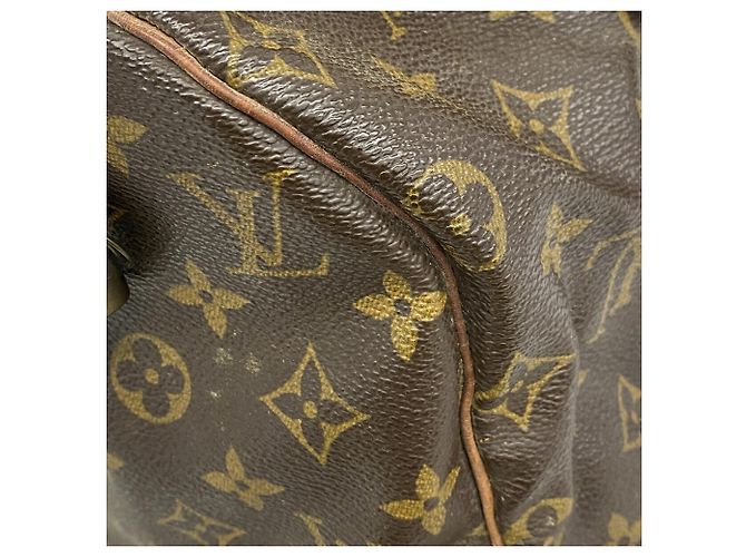 Borsa Louis Vuitton Monogram Speedy 25 Marrone - vista 7