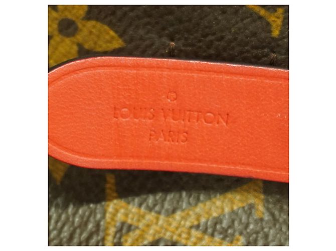 Néonoé Borsa a tracolla Louis Vuitton Monogram NeoNoe Rosso - vista 5