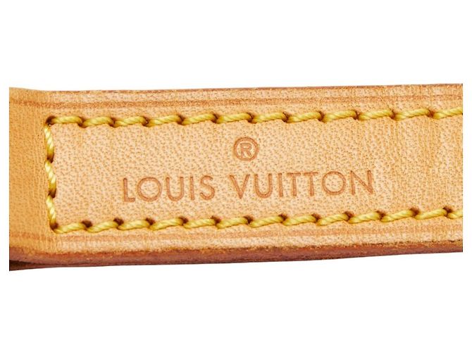 Tracolla in pelle beige e oro Louis Vuitton D'oro - vista 5