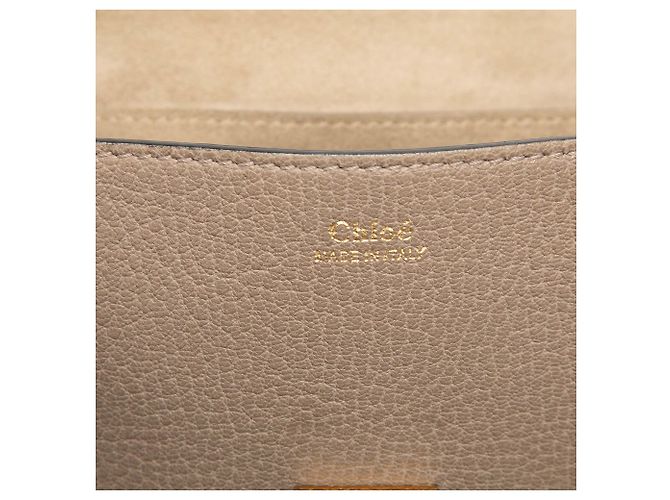 Chloé Drew Crossbody in pelle di vitello grana grossa marrone Small Taupe - vista 5