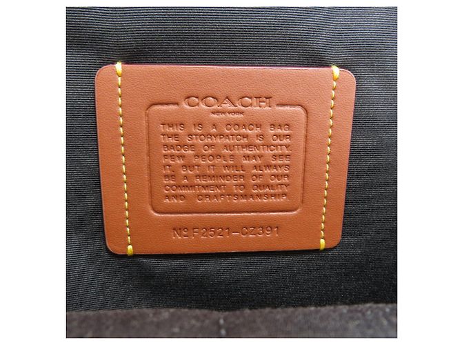 Coach CZ391 Ethan Leather Backpack Brown - view 6