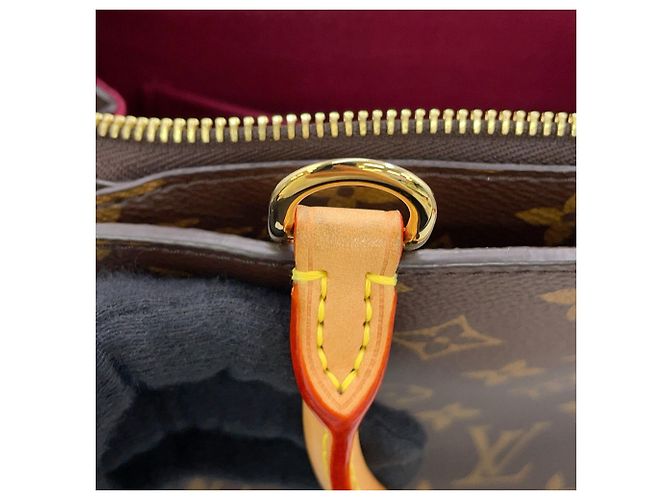 Borsa Louis Vuitton Monogram Petit Palais PM Bordò Monogramma - vista 11