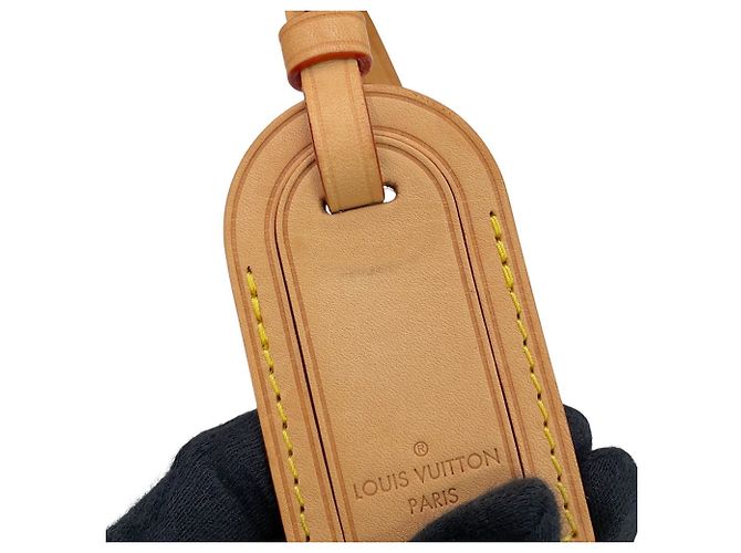 Borsa Louis Vuitton Monogram Petit Palais PM Bordò Monogramma - vista 15