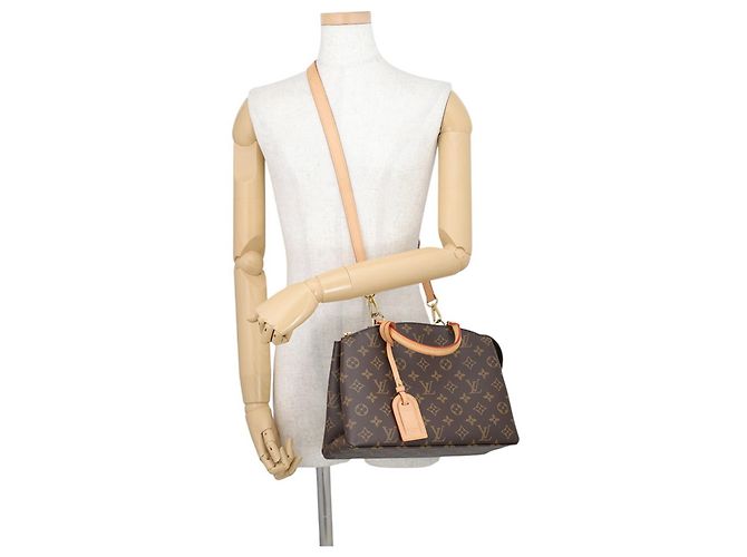 Borsa Louis Vuitton Monogram Petit Palais PM Bordò Monogramma - vista 5