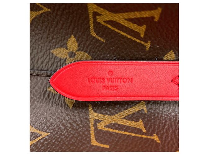 Néonoé Borsa a tracolla Louis Vuitton Monogram NeoNoe MM Rosso Monogramma - vista 16