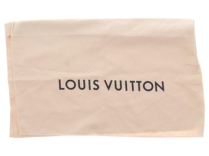 Borsa trasparente Louis Vuitton marrone - vista 16