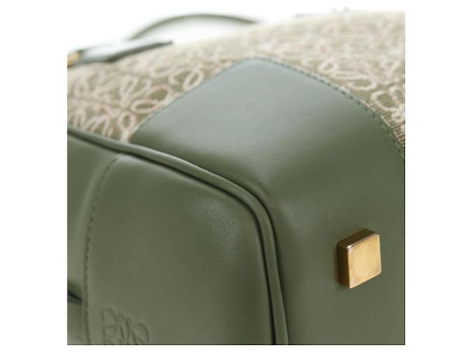 Borsa a mano LOEWE Amazona 19 Canvas 2way Beige Gold Auth 196053SAM D'oro - vista 16