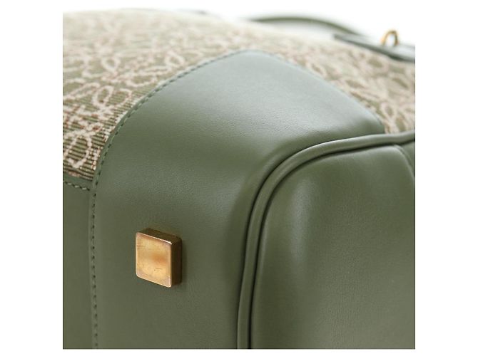 Borsa a mano LOEWE Amazona 19 Canvas 2way Beige Gold Auth 196053SAM D'oro - vista 17